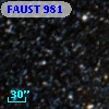 FAUST  981