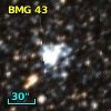 BMG  43