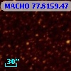 MACHO  77.8159.47
