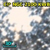 Cl* NGC 2100  KWBBE     106