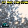 Cl* NGC 2100  KWBBE     427
