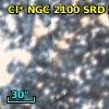 Cl* NGC 2100    SRD     241