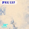 [P93]   537