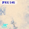 [P93]   545