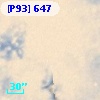[P93]   647