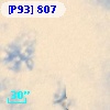 [P93]   807