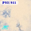 [P93]   911
