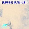 [RBW98] IRSW-11