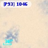 [P93]  1046