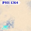 [P93]  1264