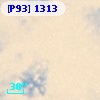 [P93]  1313