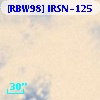 [RBW98] IRSN-125