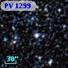 PV  1299