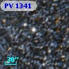 PV  1341