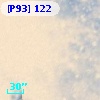 [P93]   122