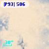 [P93]   506