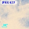 [P93]   627