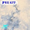 [P93]   677