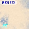 [P93]   723
