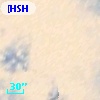 [HSH95]    63