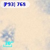 [P93]   768