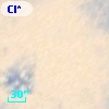 Cl* NGC 2070    MEL      28a