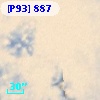 [P93]   887