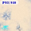 [P93]   910