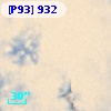 [P93]   932