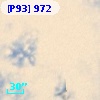 [P93]   972
