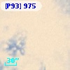 [P93]   975