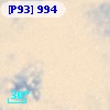 [P93]   994