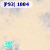 [P93]  1004