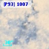 [P93]  1007