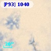 [P93]  1040