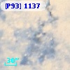 [P93]  1137
