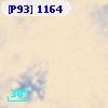[P93]  1164