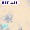 [P93]  1168
