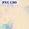 [P93]  1209