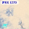 [P93]  1273