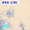 [P93]  1295