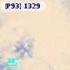 [P93]  1329