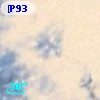 [P93]  1570