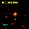 HD 269800