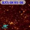 [L72] LH  81-56