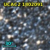 [L63] 278