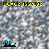 [L63] 281