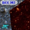 [L63] 302