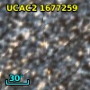 [L63] 303