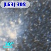 [L63] 308